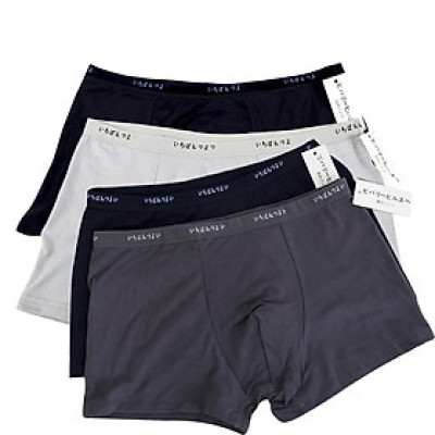 Combo 2 Quần Lót Nam Đùi Boxer Cotton Lụa – Mềm Mịn, Thoáng Khí, Co Giãn