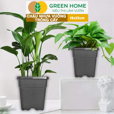 Chậu Vuông Trồng Cây Greenhome, Nhiều Kích Thước, Nhựa Cứng, Thoát Nước Tốt, Trồng Hoa, Kiểng Lá
