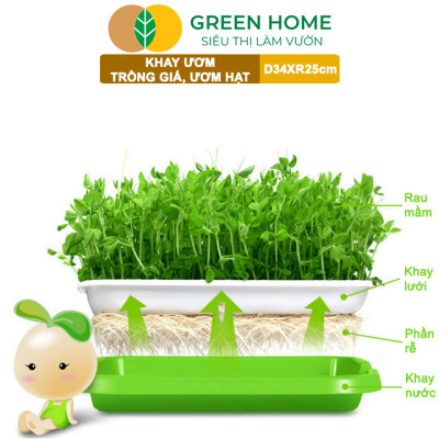 Khay Trồng Rau Greenhome, D34xR25xC5cm, Nhựa Nguyên Sinh, An Toàn, Chuyên Trồng Giá, Rau Mầm Tại Nhà, Không Cần Đất