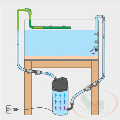 Lọc thùng Eheim classic 150 (2211), 250 (2213), 350 (2215), 600 (2217), 1500XL (2260) lọc cao cấp bể cá tép thủy sinh