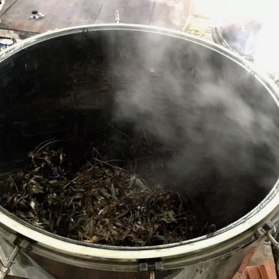 Tinh dầu Tràm Trà 100ml Mộc Mây - tinh dầu nguyên chất 100% từ thiên nhiên - chất lượng và mùi hương vượt trội