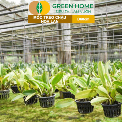 10 Móc Treo Chậu Lan Greenhome, D60Cm, Thiết Kế Tối Giản, Thẩm Mỹ, Treo Lan, Chậu Hoa, Dễ Sử Dụng