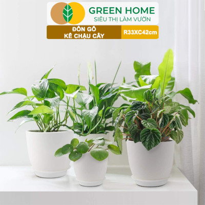 Đĩa Nhựa Lót Chậu Cây Greenhome, Nhiều Kích Cỡ, Hứng Nước Giúp Sạch Bàn, Sàn, Nhựa Nguyên Sinh, Bền, Đẹp, Chóng Rơi Vỡ