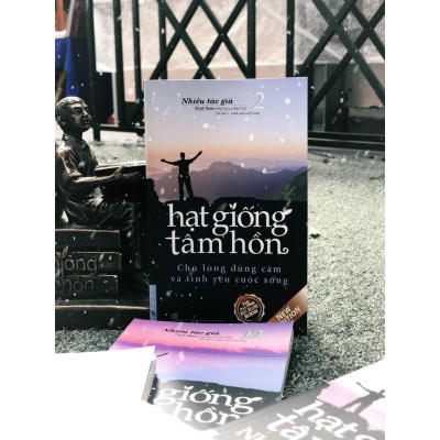Sách Hạt Giống Tâm Hồn Tập 2 - First News