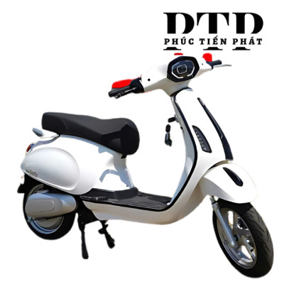 Xe Máy Điện TAILG R52