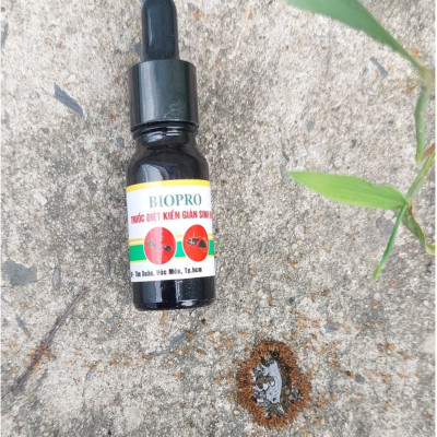Thuốc diệt kiến gián sinh học BioPro Chai 20ml Dạng nhỏ Giúp diệt sạch kiến gián tận gốc, kiến đen, kiến lửa, gián đức