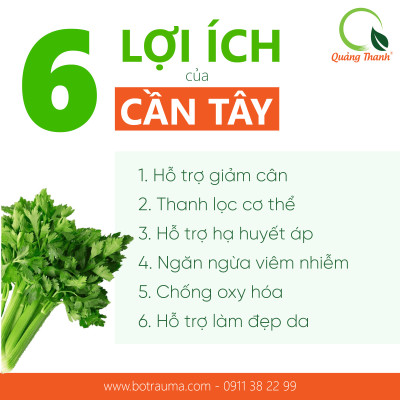 Bột Cần Tây Sấy Lạnh Nguyên Chất Quảng Thanh Hộp 30g - Hỗ trợ giảm cân, giảm mỡ bụng, giảm mụn, giảm gút