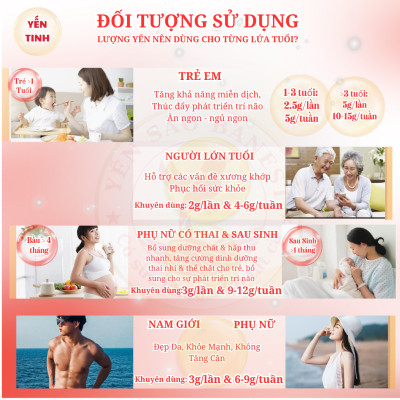 Set Quà Tặng 100g Tổ Yến Sào Cao Cấp - Yến Sào BaNest