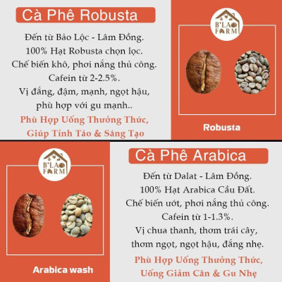 Cà Phê Robusta B