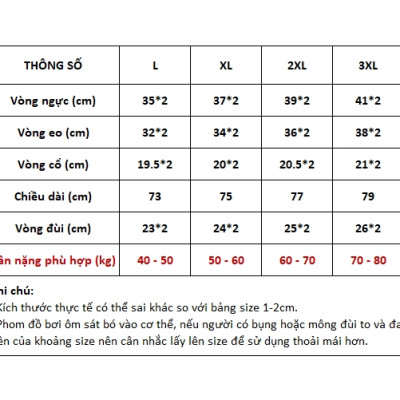Bộ đồ bơi trung niên, áo tắm cho các mẹ các bà, dáng váy quần đùi rời kín đáo, thun bơi lạnh, dáng đẹp dễ mặc | KT010