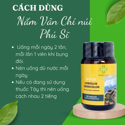 Combo 2 hộp Viên uống Nấm Vân Chi núi Phú Sĩ Teresa Herbs hỗ trợ tăng cường đề kháng và hệ miễn dịch (Lọ 60 viên)