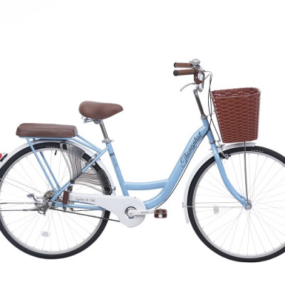 Xe đạp Thống Nhất mini New 26-Hàng chính hãng