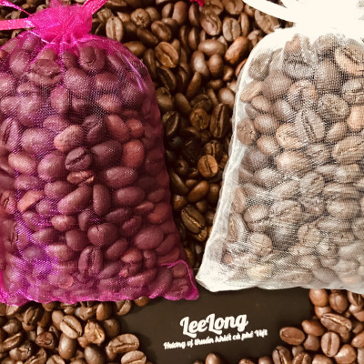 COMBO 10 TÚI THƠM CAFE KHỬ MÙI (100G x 10)