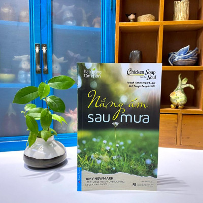 Chicken Soup For The Soul - Nắng Ấm Sau Mưa