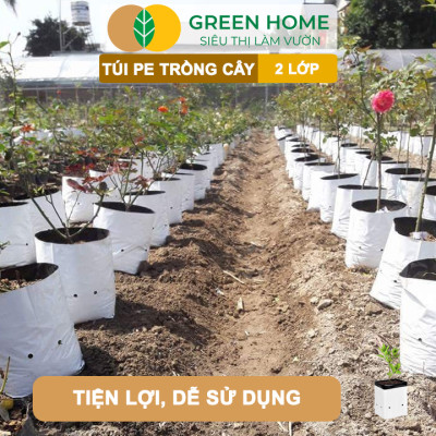 Túi Trồng Cây GreenHome, PE 2 Lớp, Chống UV, Tiện Lợi, Kinh Tế, Độ Bền 1,5 Năm, Trồng Rau, Hoa, Dâu Tây