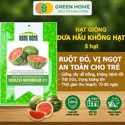 Hạt Giống Dưa Hấu Không Hạt Lai F1 Greenhome, Gói 5 Hạt, Dễ Trồng Quanh Năm, Nảy Mầm Cao, T27