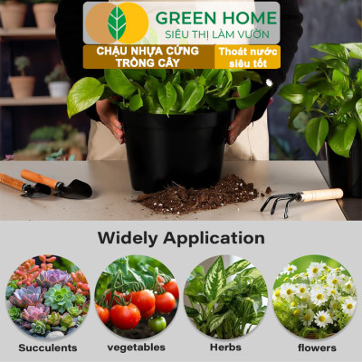 Bộ 3 Chậu nhựa trồng cây, nhiều kích thước, thoát nước tốt, đa dạng kích thước trồng cây, hoa, kiểng lá |Greenhome