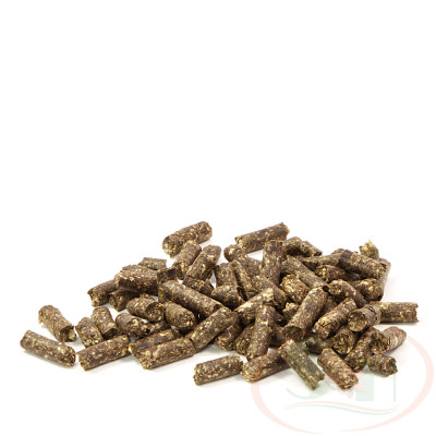 Thức ăn dặm GlasGarten Humin Sticks bổ sung fulvic humic bể cá tép ốc tôm cảnh