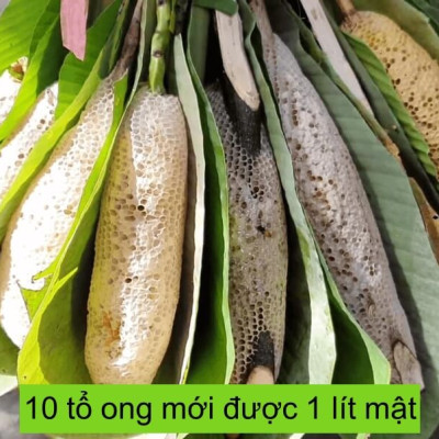 Mật Ong Ruồi Thiên Nhiên 500ml - OGINBEE, Mật ong tự nhiên, không nuôi