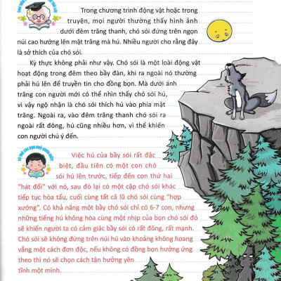 Sách - 10 Vạn Câu Hỏi Vì Sao - Bách Khoa Tri Thức Thiếu Nhi - Quyển 5 (Tái Bản 2025)