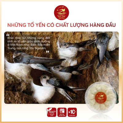 Tổ yến Tinh chế sợi 50 gram Yến Việt Tinh Hoa  - Hàng chính hãng