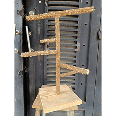 1 cây đậu gỗ gạo cao cấp bản to (CDGG02 mới) cao 55cm dài 50cm dùng cho mọi dòng vẹt đứng,có móc treo từng cây đứng