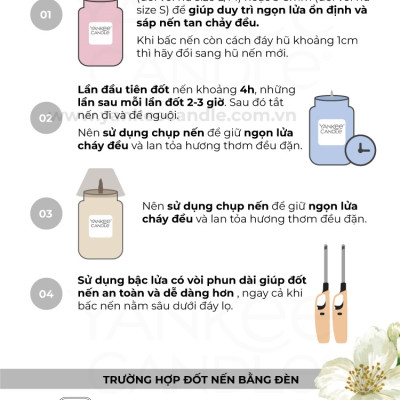 Nến hũ Yankee Candle size L - Balsam & Cedar (623g)